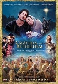 Poster Călătoria către Bethlehem