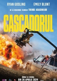 Poster Cascadorul