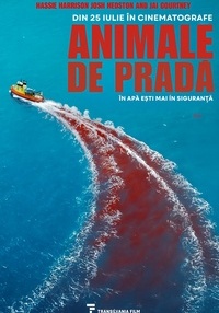 Poster Animale de pradă